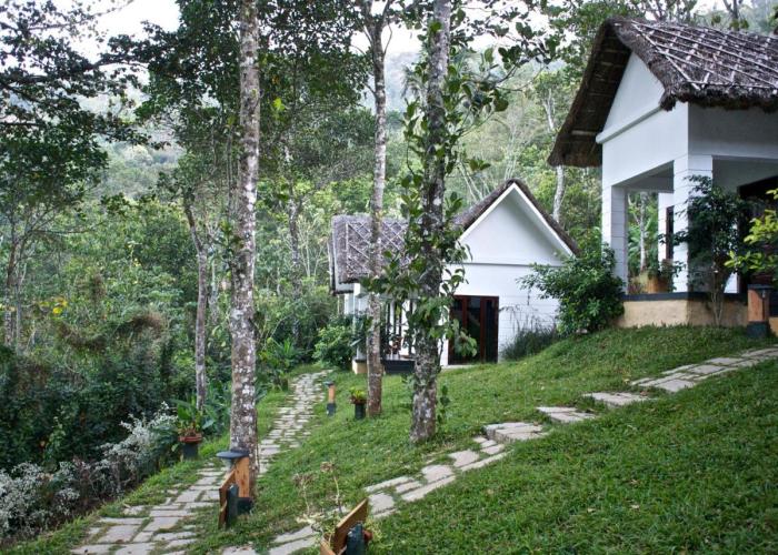 Niraamaya Retreats Cardamom Club