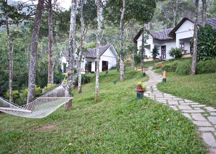 Niraamaya Retreats Cardamom Club