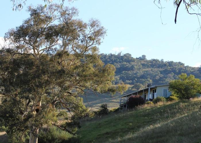 Elm Cottage