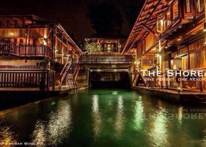 The Shorea