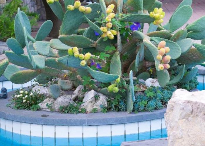 Villa Ketty Resort