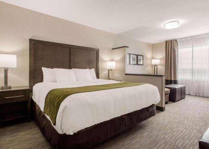 Comfort Inn & Suites Red Deer