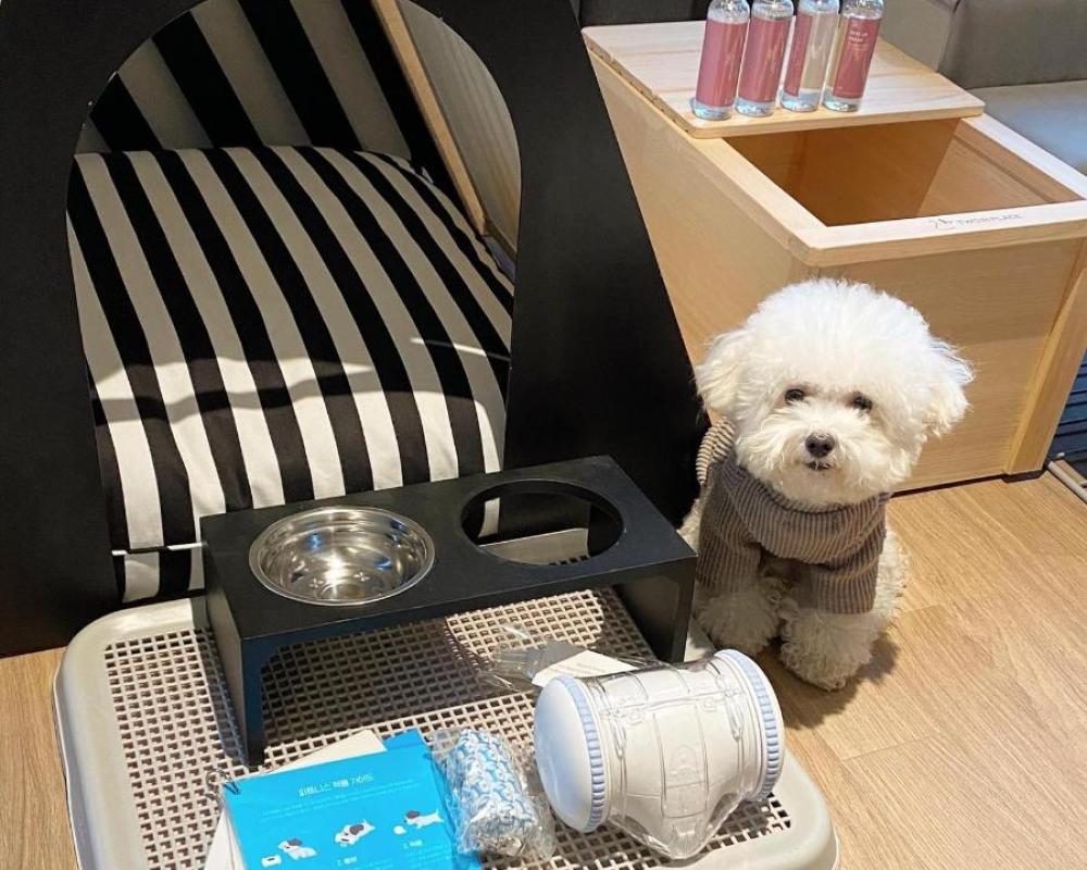 фото Phoenix Pyeongchang Resort