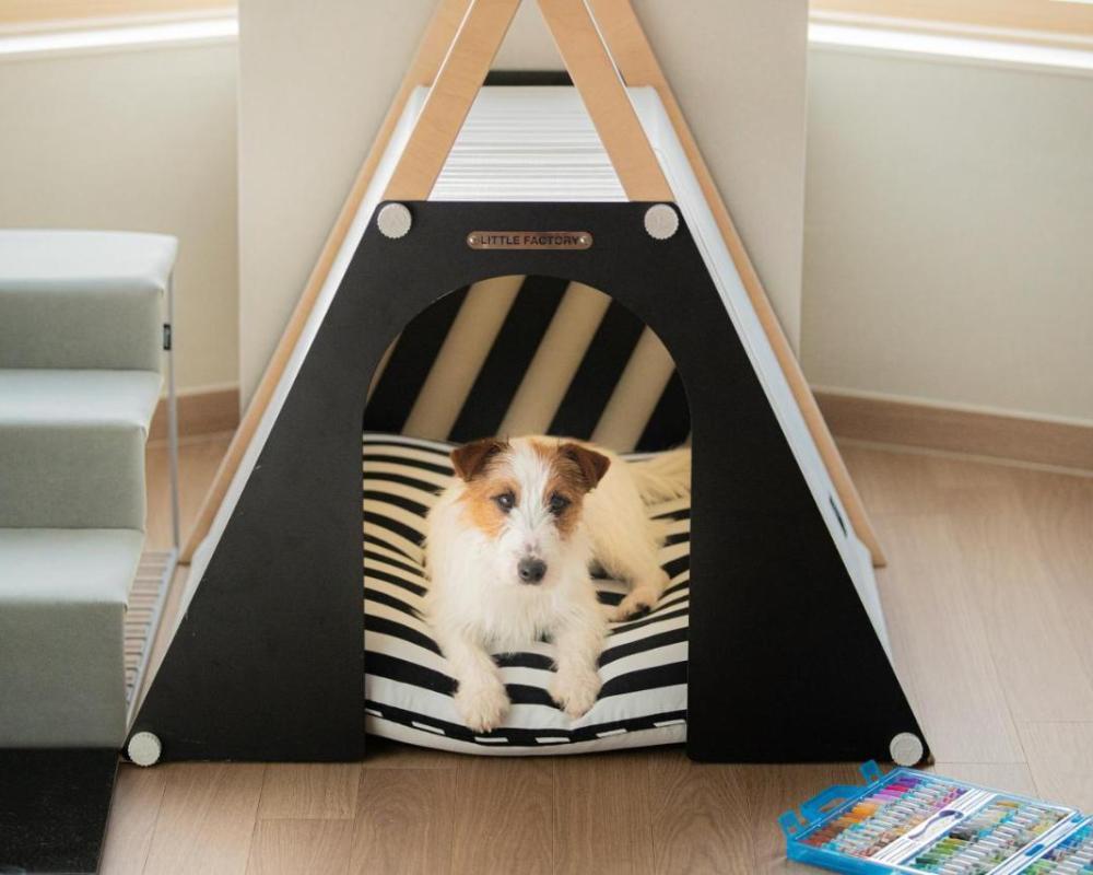 фото Phoenix Pyeongchang Resort