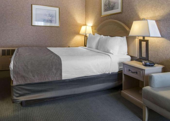 Quality Inn Medicine Hat