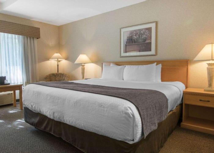 Quality Inn Medicine Hat