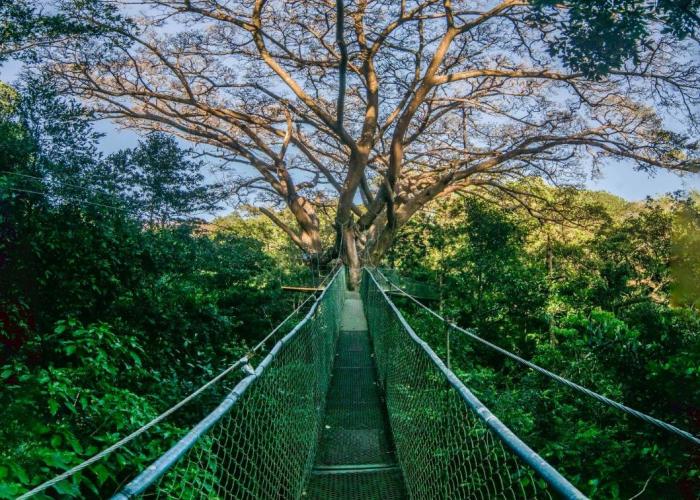 Buena Vista del Rincón Eco Adventure Park Hotel & Spa