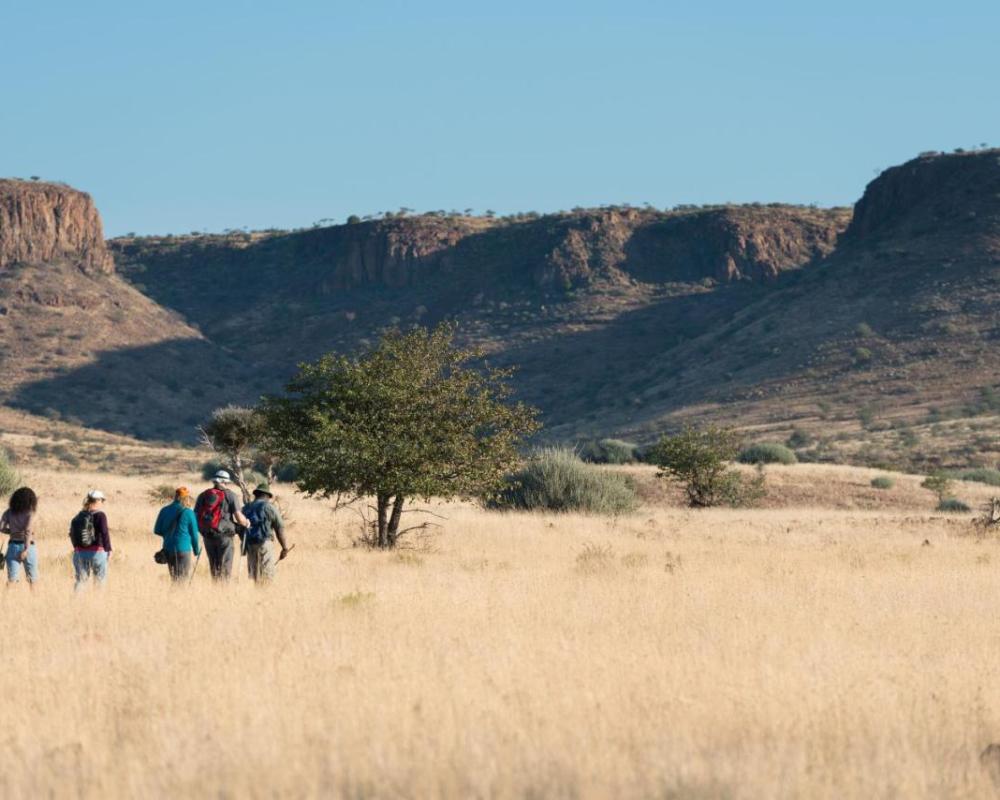 фото Etendeka Mountain Camp