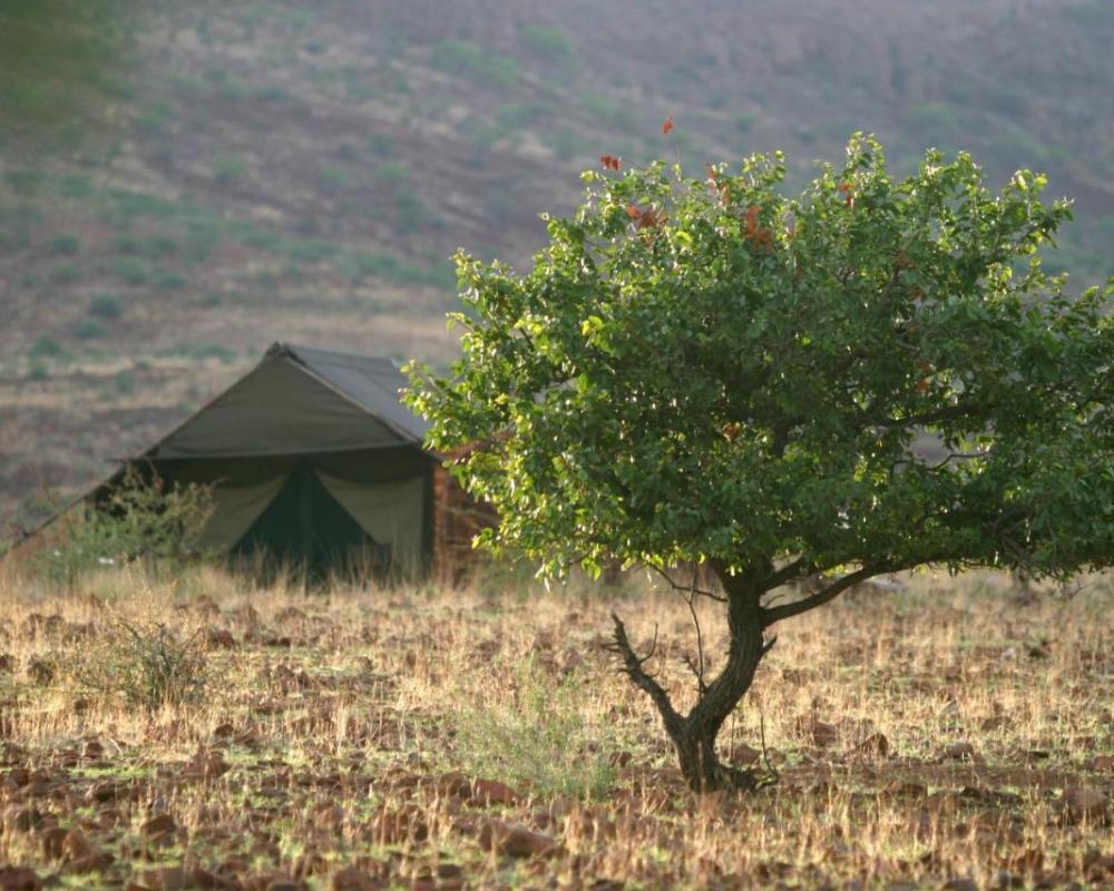 фото Etendeka Mountain Camp