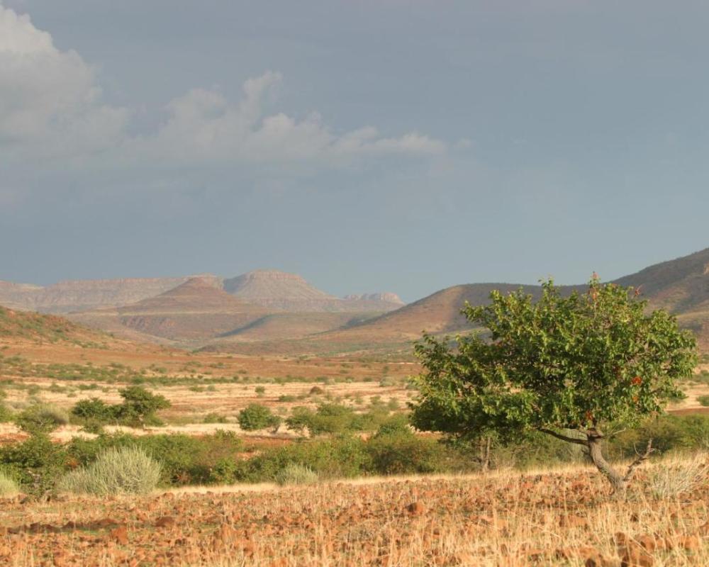 фото Etendeka Mountain Camp