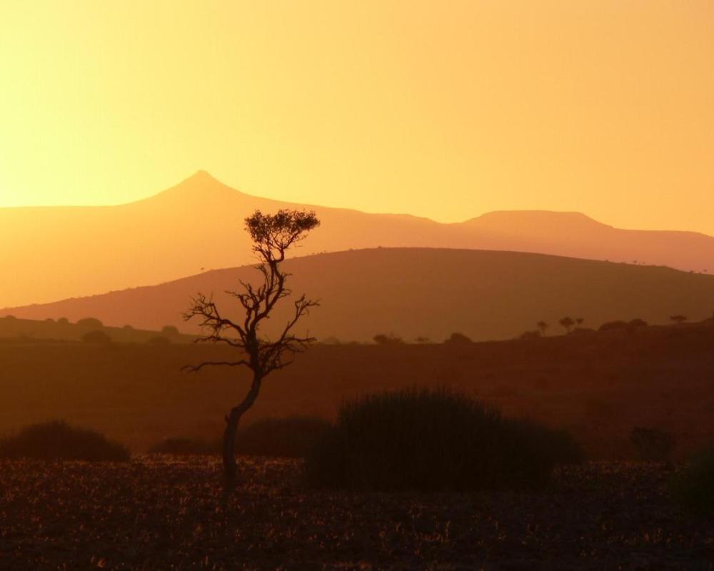 фото Etendeka Mountain Camp