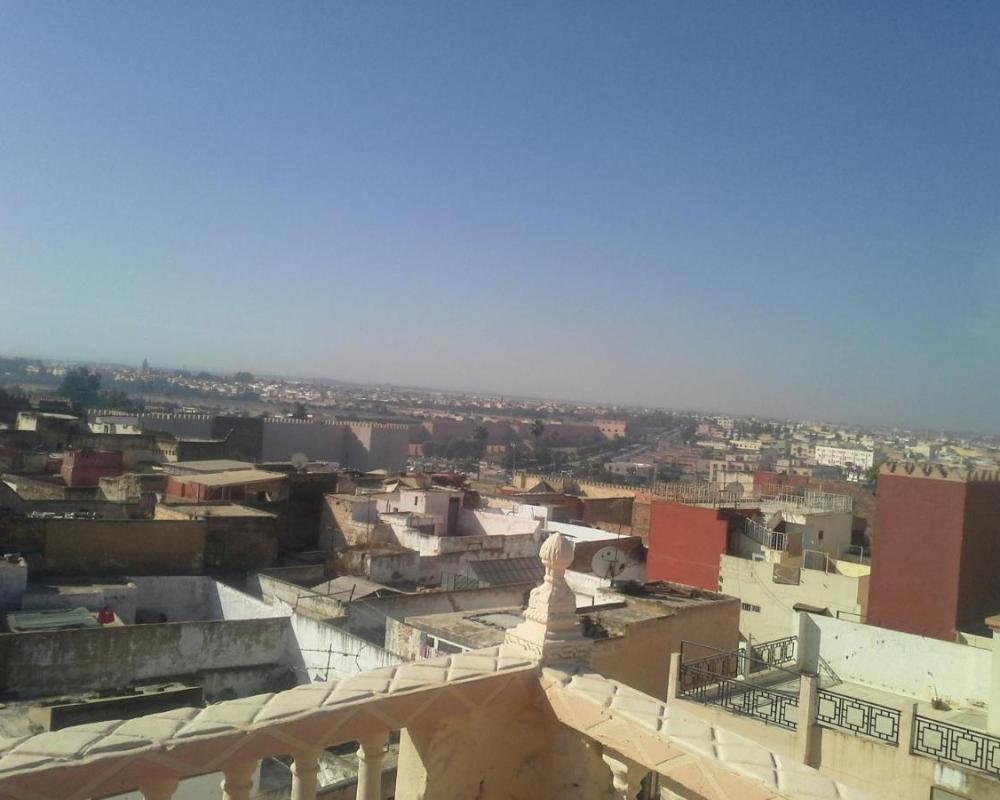 фото Riad Malak