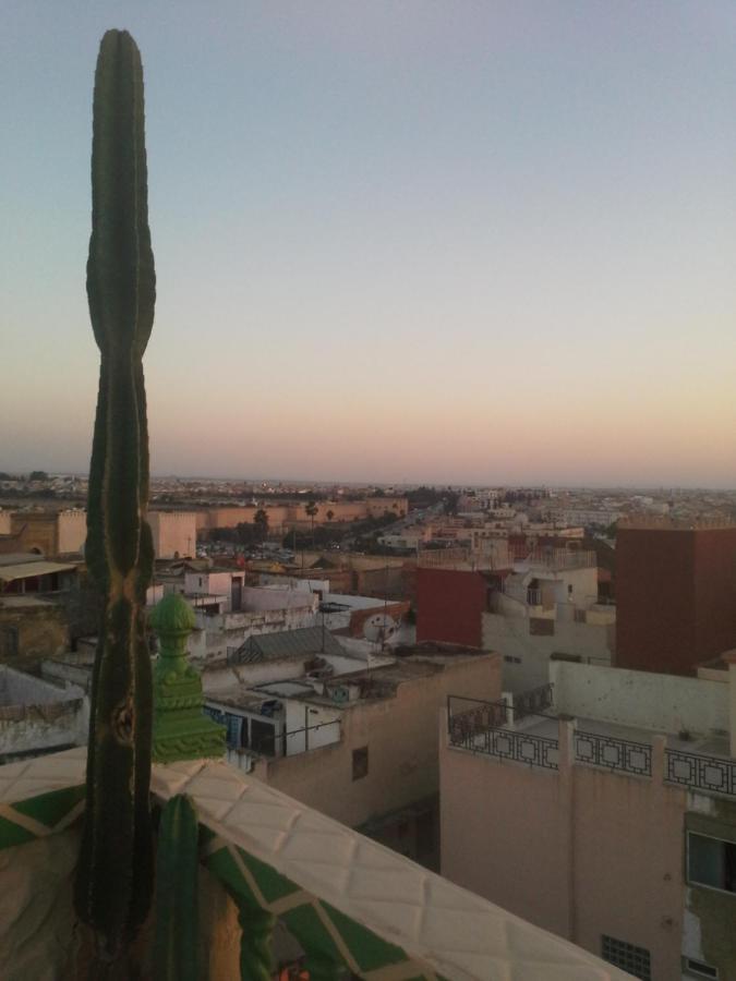 фото Riad Malak