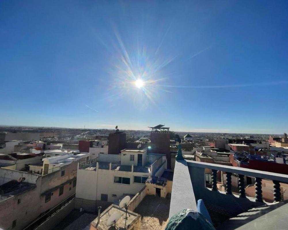 фото Riad Malak