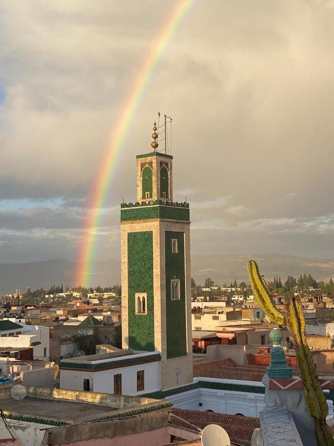 фото Riad Malak