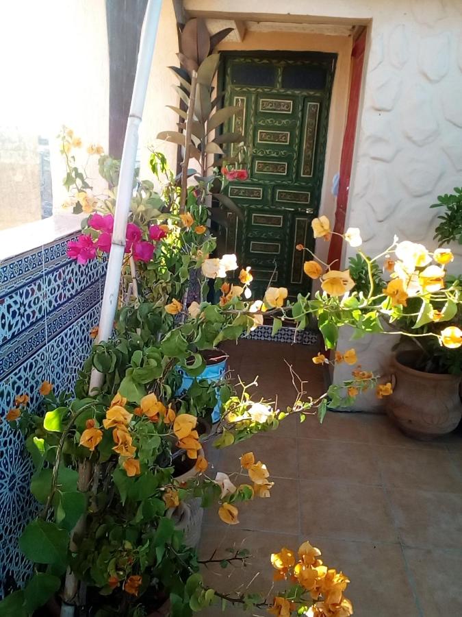 фото Riad Malak