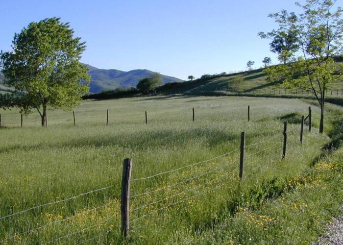Maridiana Alpaca Country House