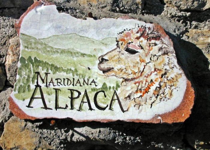 Maridiana Alpaca Country House