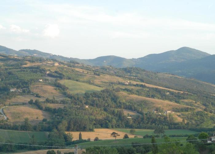 Maridiana Alpaca Country House