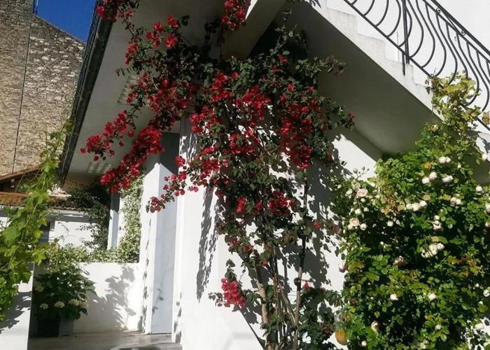 Le Clos Chez Michel
