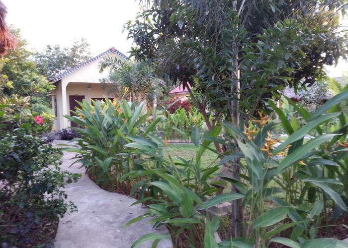 Bird of Paradise Bungalows