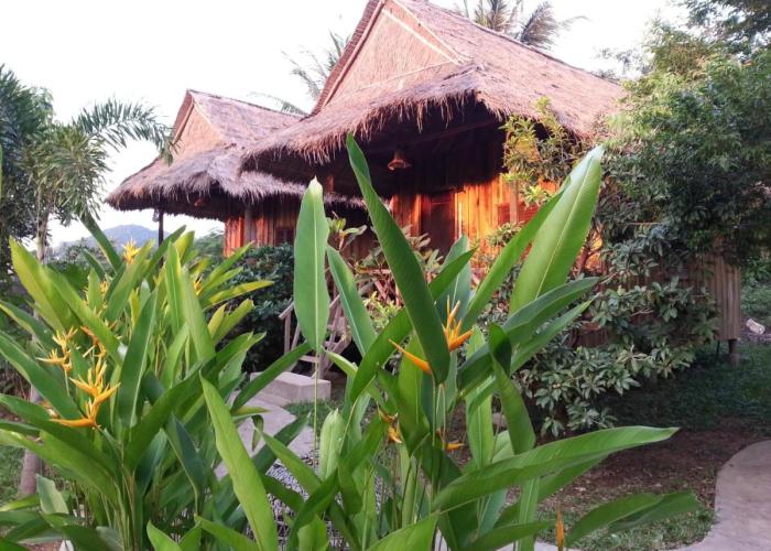 Bird of Paradise Bungalows