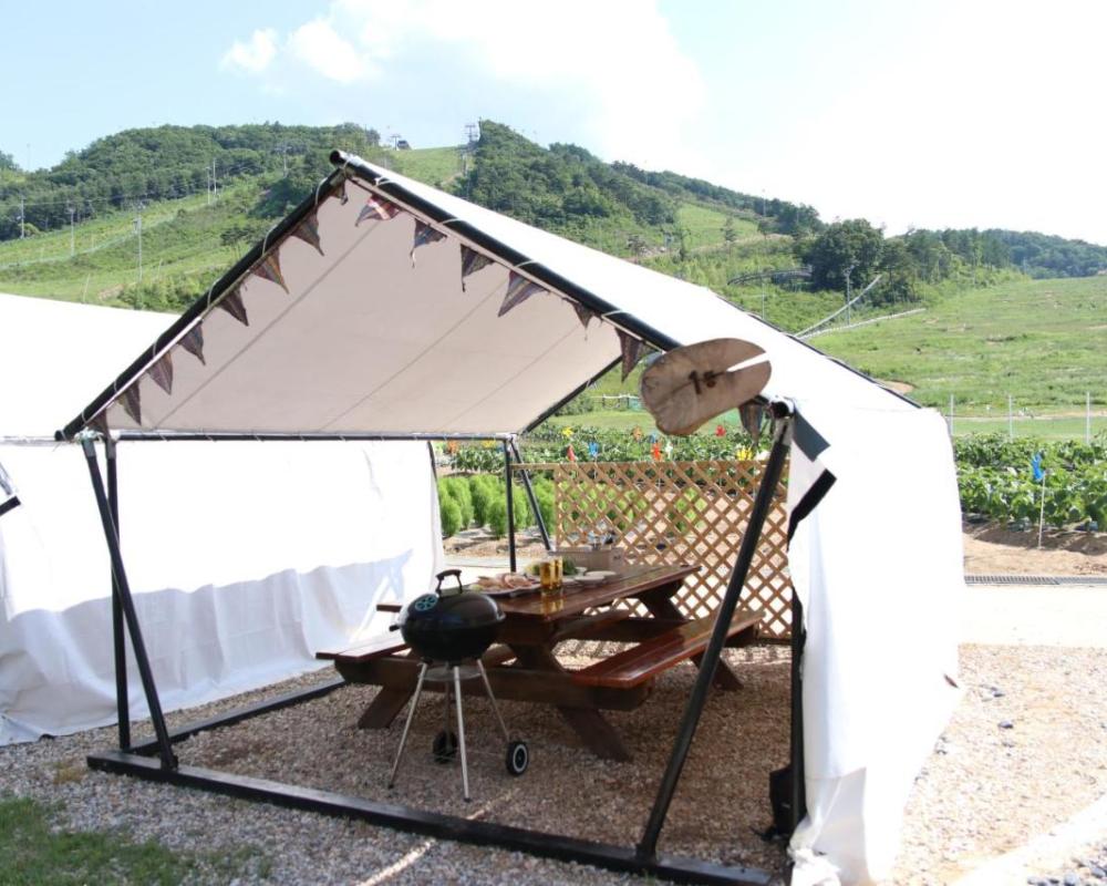 фото Holiday Inn & Suites Alpensia Pyeongchang Suites, an IHG Hotel