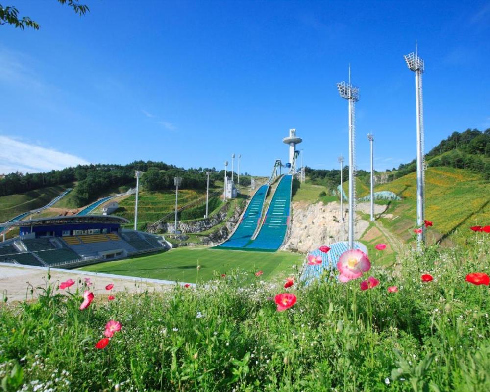 фото Holiday Inn & Suites Alpensia Pyeongchang Suites, an IHG Hotel