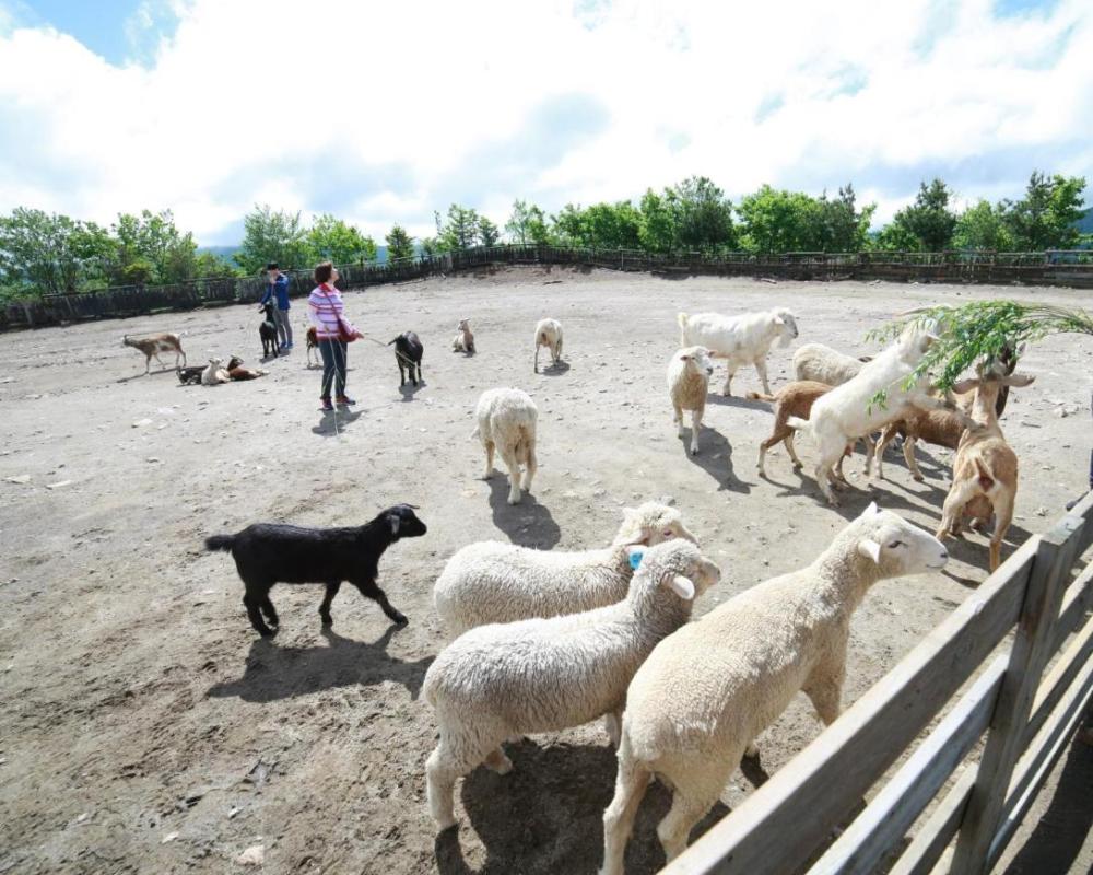 фото Holiday Inn & Suites Alpensia Pyeongchang Suites, an IHG Hotel