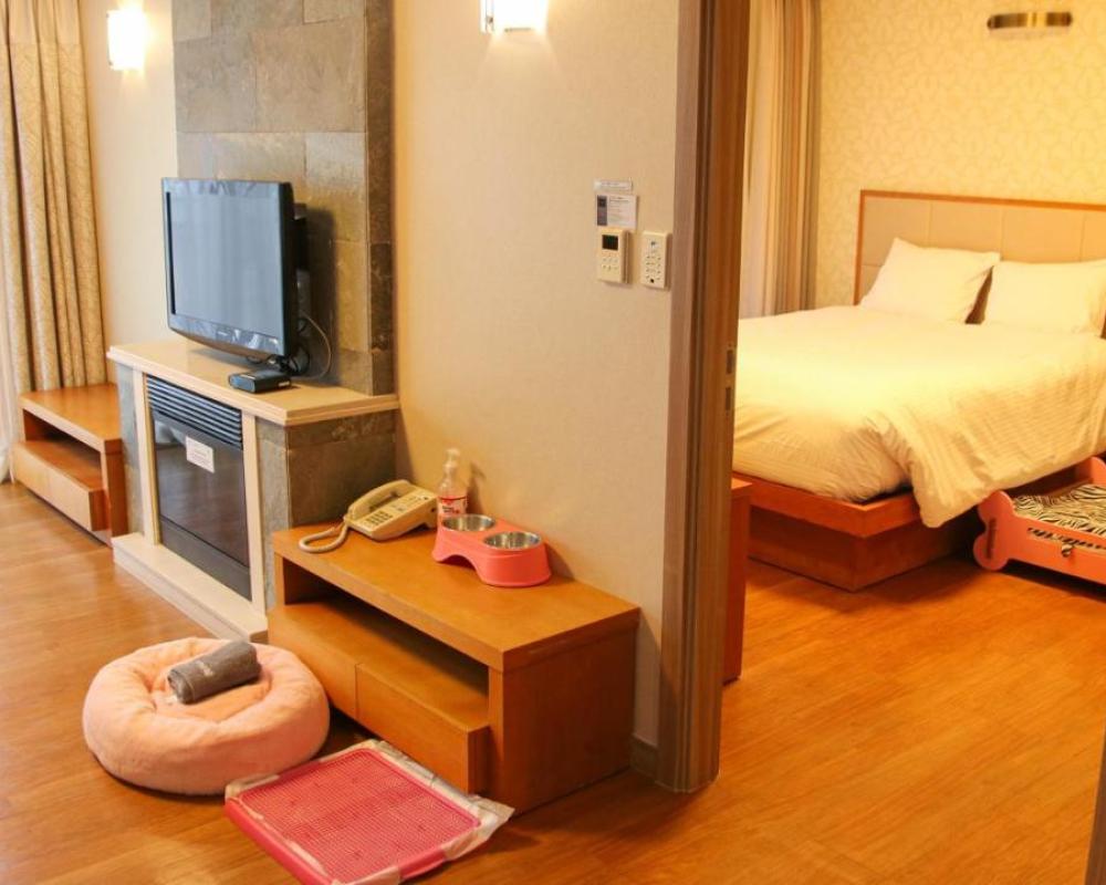 фото Holiday Inn & Suites Alpensia Pyeongchang Suites, an IHG Hotel
