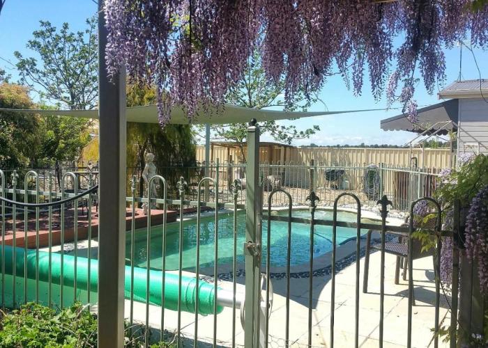 Must Love Dogs B&B & Self Contained Cottage