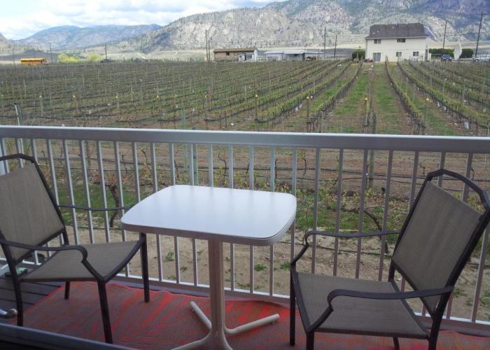 Sonora Desert Inn