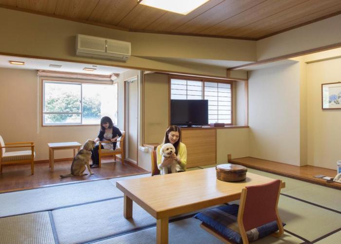 Izumigo Toba Dog Paradise Hotel