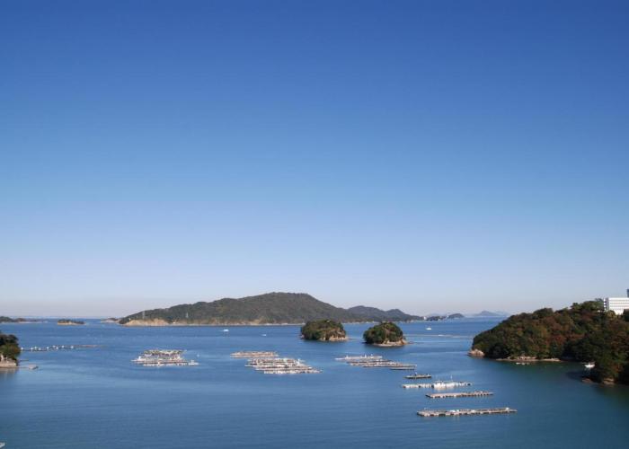 Izumigo Toba Dog Paradise Hotel
