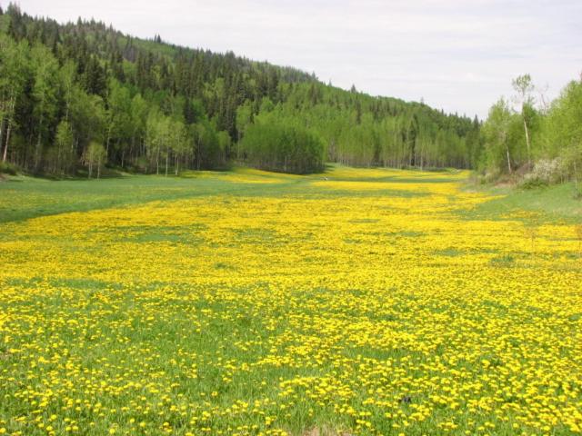 The Grateful Bed B'n'B