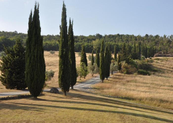 Agriturismo Escaia