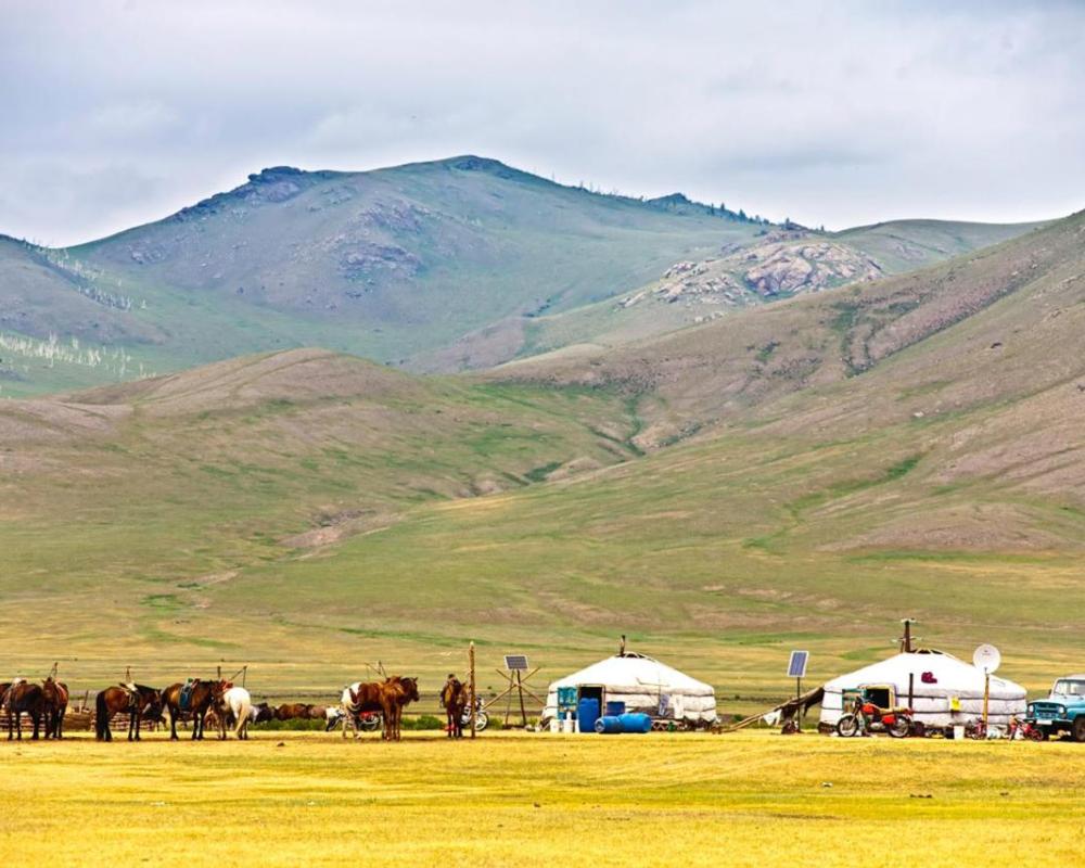 фото Mongolian Vision Tours