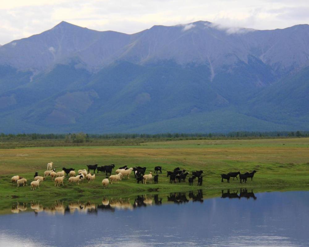 фото Mongolian Vision Tours
