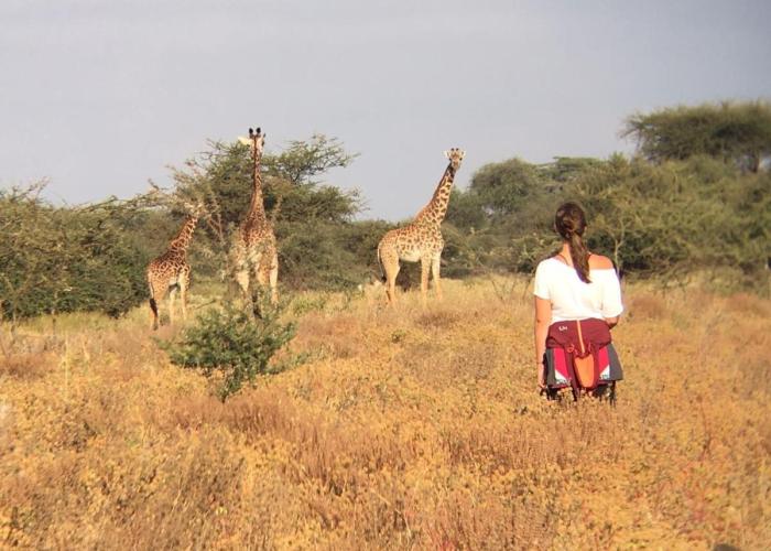 Maasai Simba Camp