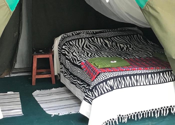 Maasai Simba Camp