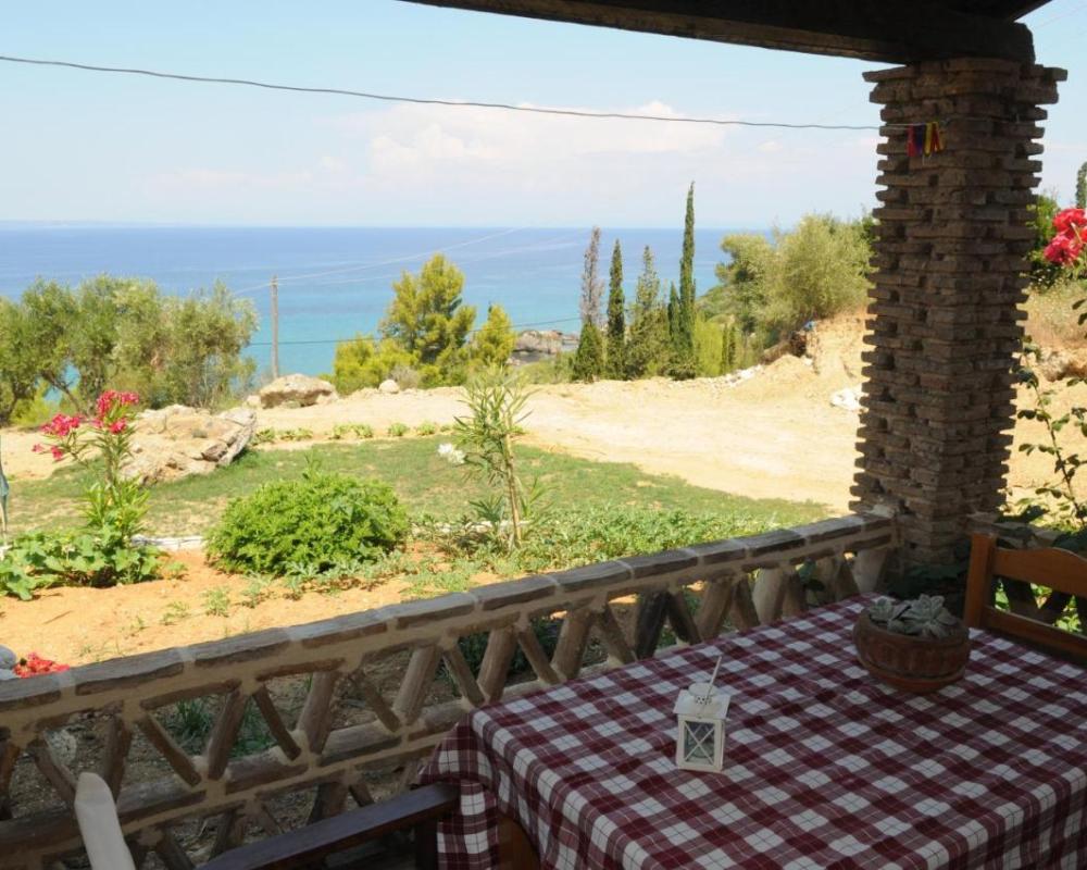фото Arpyia