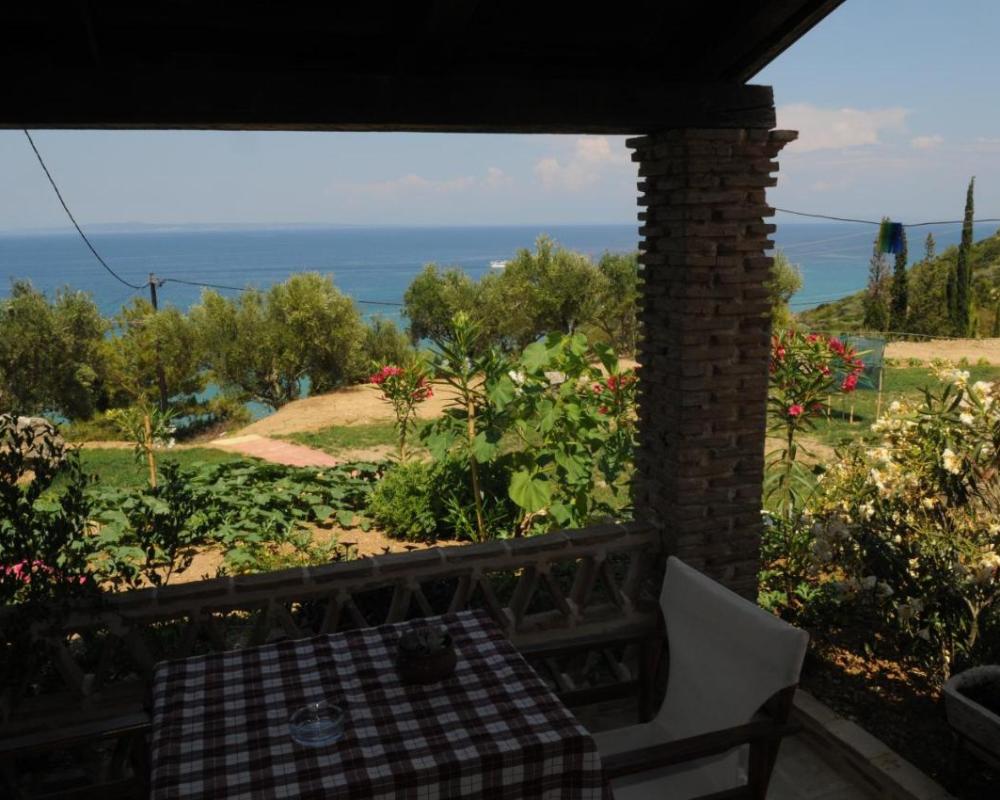 фото Arpyia