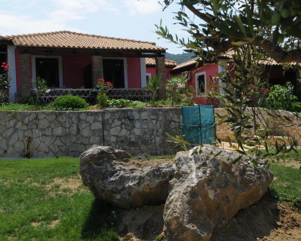 фото Arpyia