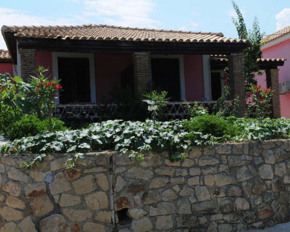 фото Arpyia