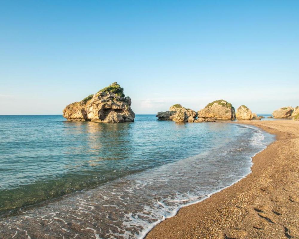 фото Arpyia