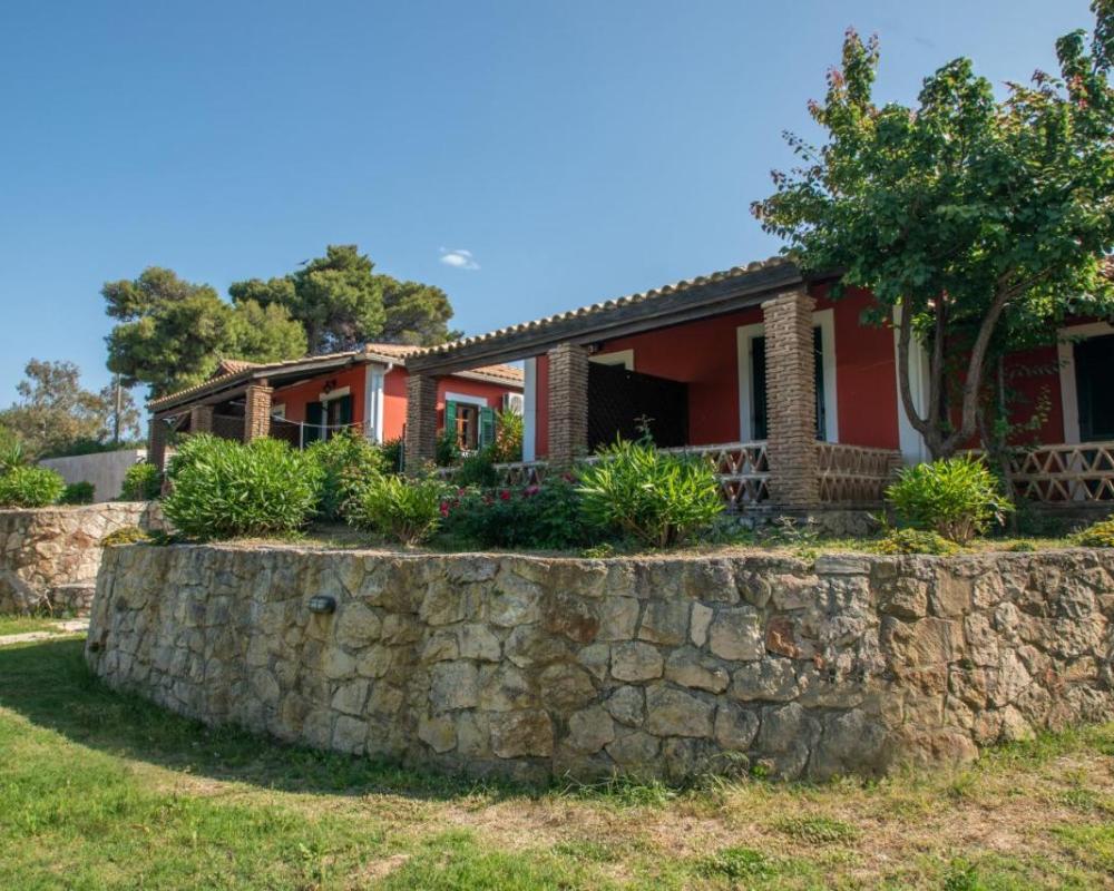 фото Arpyia