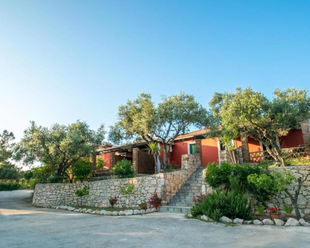 фото Arpyia