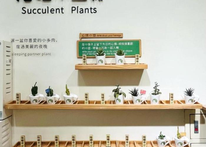 Green Hotel - Fengjia