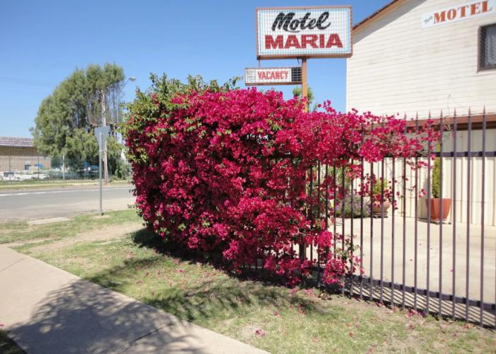 Maria Motel