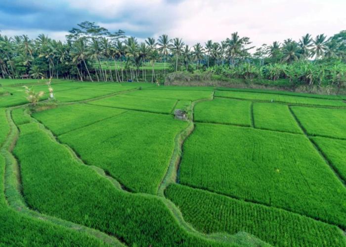 Om Ham Retreat and Resort